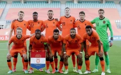 荷兰足球队_荷兰队大名单(世界杯荷兰队大名单)