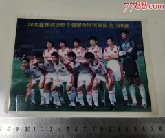 2002年世界杯_2002世界杯决赛(2002世界杯决赛阵容)