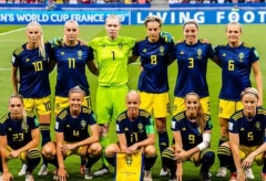 瑞士足球队_瑞典足球队(瑞典足球队员名单)