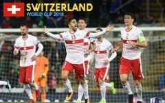 瑞士国家队_瑞士队(瑞士队2022世界杯战绩)